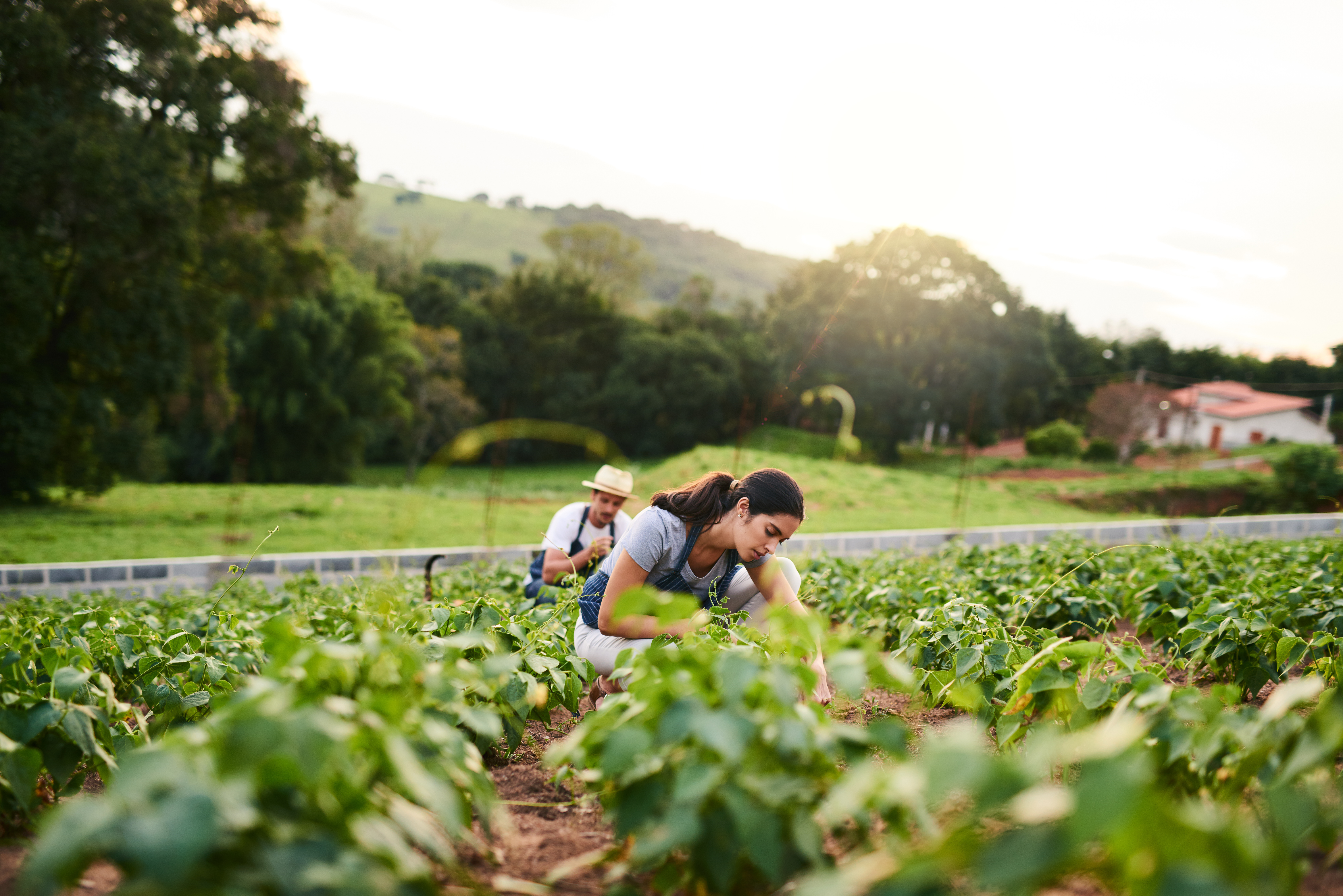 Agricultural Worker and Immigrant Rights